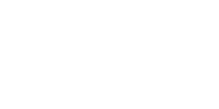 lots newsletter icon